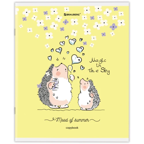 Тетрадь BRAUBERG "Приключения Ёжика" А5, в клетку, 48 листов, ассорти