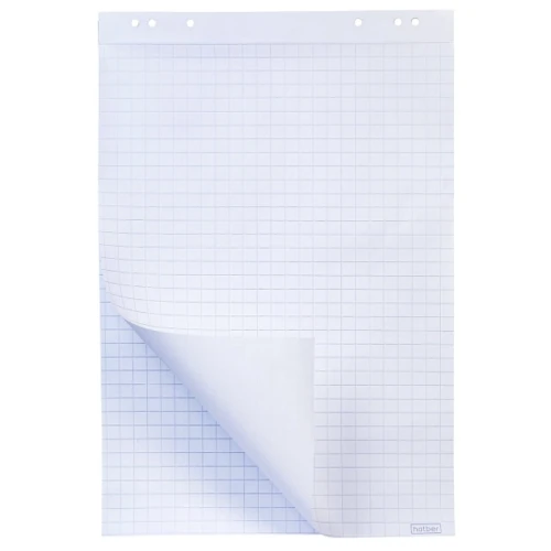 Блокнот для флипчарта Hatber 64*96 см, клетка, 20 листов, белый