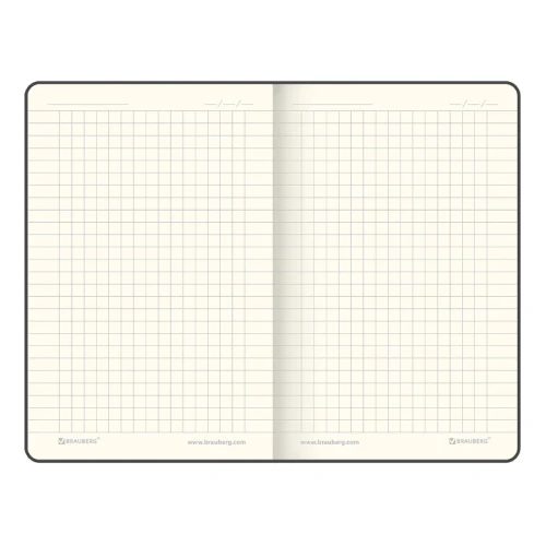 Блокнот BRAUBERG "Metropolis Special" А6, под кожу, в клетку, 80 листов, синий