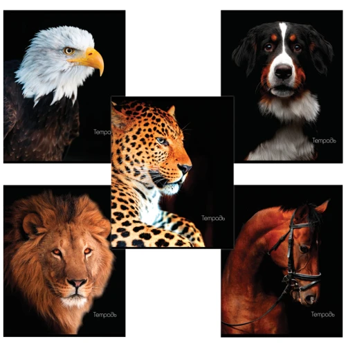 Тетрадь BRAUBERG "Животные" А5, в клетку, 48 листов, ассорти