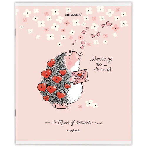 Тетрадь BRAUBERG "Приключения Ёжика" А5, в клетку, 48 листов, ассорти