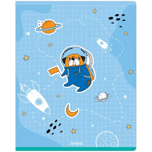 Тетрадь MESHU "Space adventure" А5, в клетку, 48 листов, ТВИН-лак, ассорти