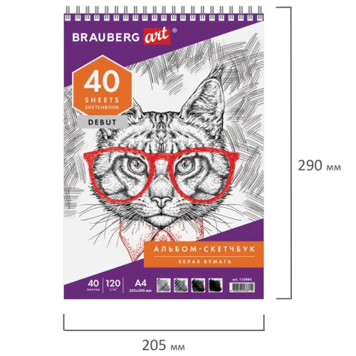 Скетчбук BRAUBERG "ART DEBUT" на гребне, 205*290 мм, 40 листов