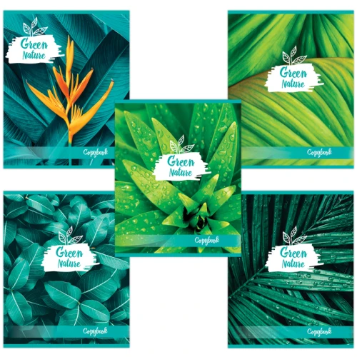 Тетрадь BRAUBERG "GREEN NATURE" А5, в клетку, 48 листов, ассорти