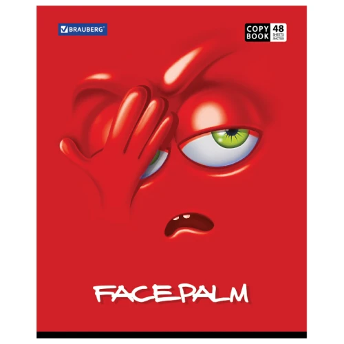 Тетрадь BRAUBERG "Мордашка" А5, в клетку, 48 листов, ассорти