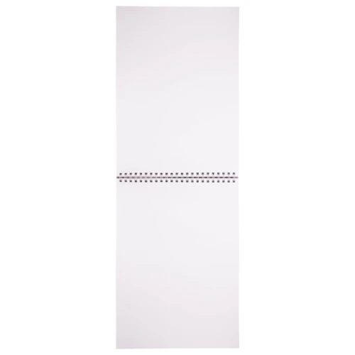 Скетчбук BRAUBERG "ART DEBUT" на гребне, 205*290 мм, 40 листов