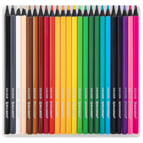 Карандаши цветные BRAUBERG черное дерево, 24 цвета