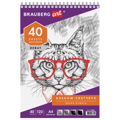 Скетчбук BRAUBERG "ART DEBUT" на гребне, 205*290 мм, 40 листов