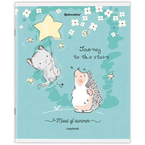 Тетрадь BRAUBERG "Приключения Ёжика" А5, в клетку, 48 листов, ассорти