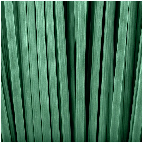 Метла для улицы Vega веерная, с деревянным черенком 120 см