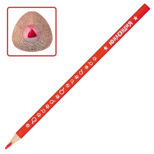 Карандаши цветные ЮНЛАНДИЯ "ЮНЛАНДИК-ДЕТЕКТИВ" трехгранные, 12 цветов