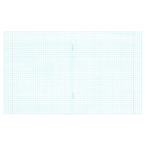 Тетрадь школьная Бумажная фабрика А5, в клетку, 12 листов