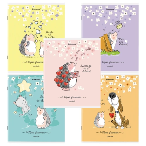 Тетрадь BRAUBERG "Приключения Ёжика" А5, в клетку, 48 листов, ассорти