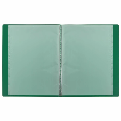 Папка 10 вкладышей BRAUBERG А4, 500 мкм, зеленая
