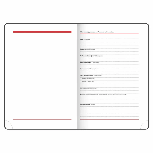 Ежедневник недатированный BRAUBERG "VISTA. Eye" А5, эко-кожа, гибкий, 136 л.