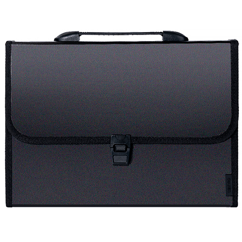 Папка-портфель DELI А4, 13 отделений, на защелке, черный